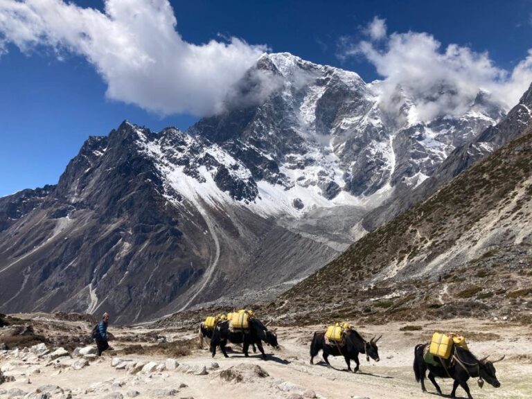 Höhenregeln und Akklimatisation für Nepal Trekkingreisen