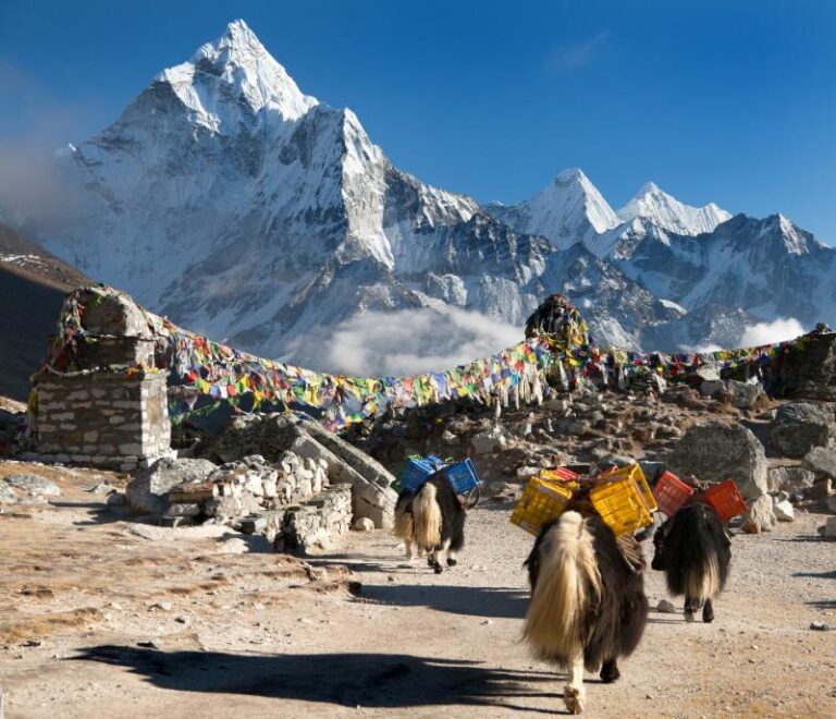 Everest Region mit Yak Herde
