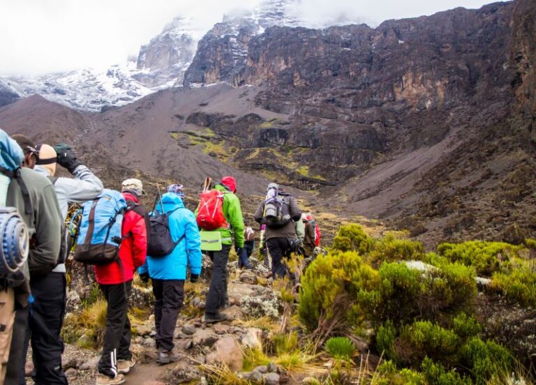 Trekker auf dem Weg zum Gipfel von Kilimandscharo
